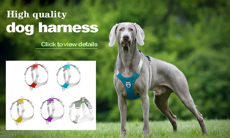 New Retractable Pet Dog Leash 3m 5m Automatic Durable Nylon Dog Lead Extending Puppy Walking Running Leads For Small Medium Dogs
