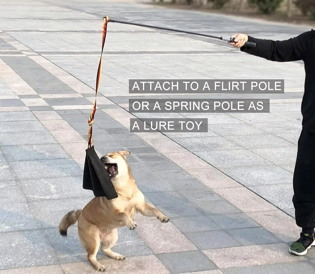 Dog Bite Force Development Prey Drive Activity Daily Fun Engagement Interactive Toy for Canine