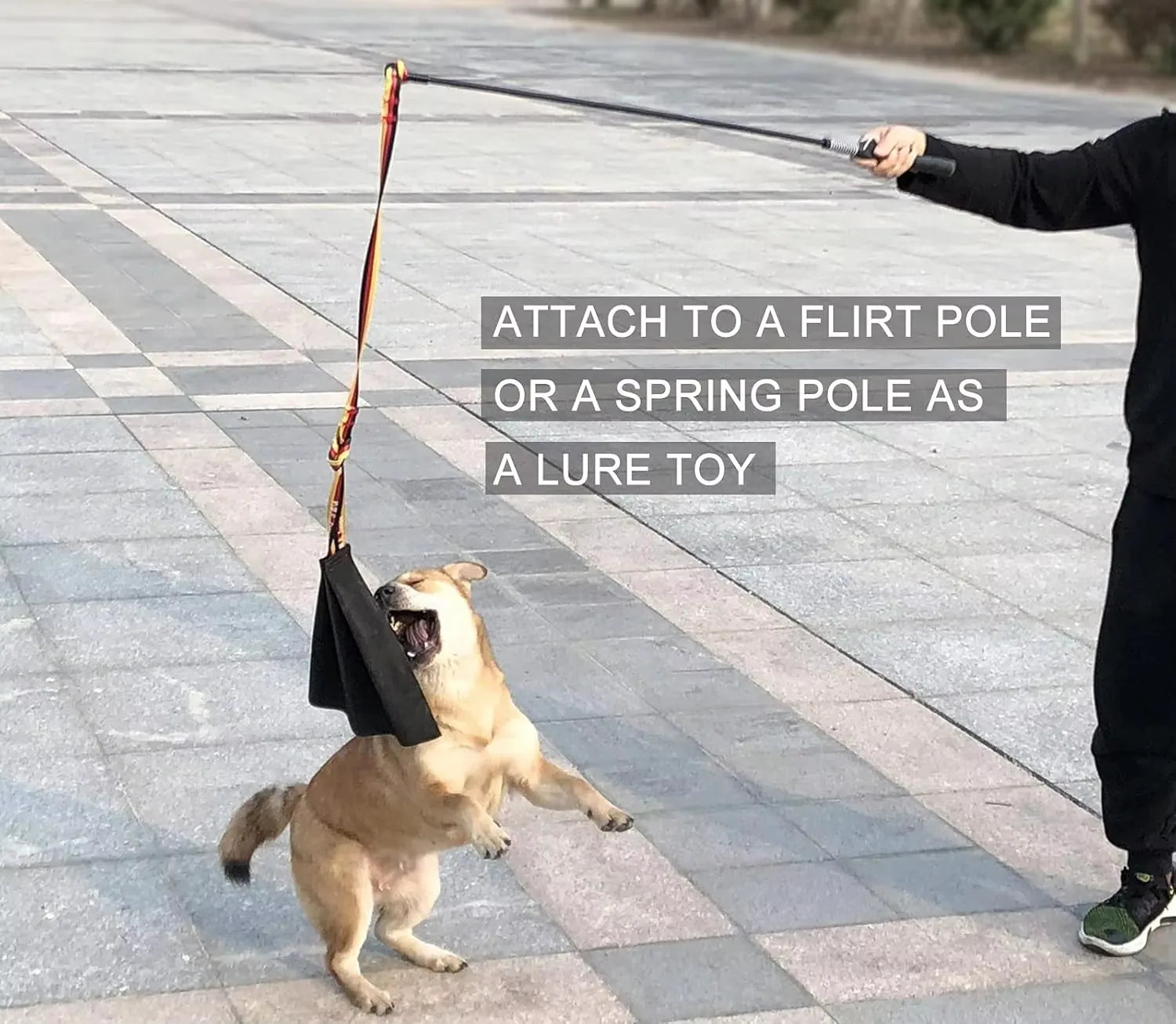 Dog Bite Force Development Prey Drive Activity Daily Fun Engagement Interactive Toy for Canine