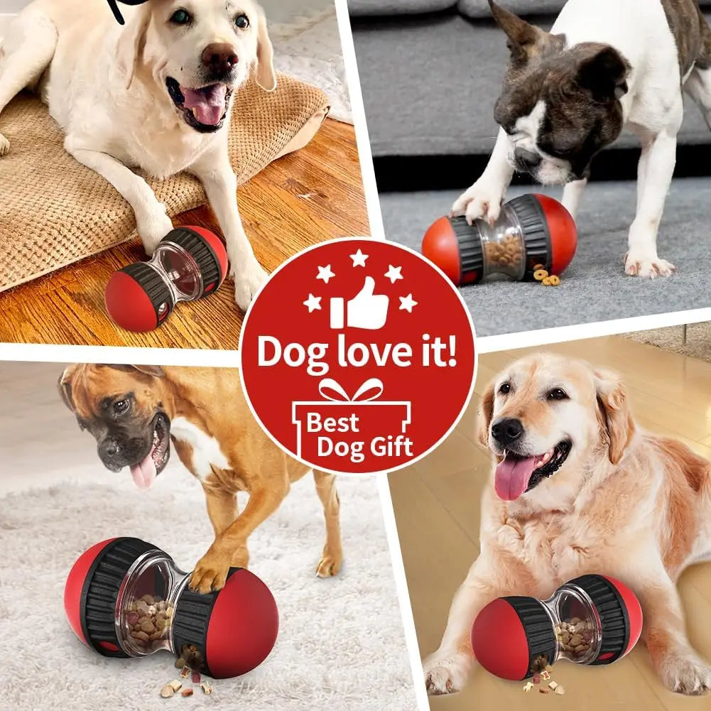 Dog Toy Improve IQ Interactive Puppy Toys For Small Medium Dogs Cat Slow Feeder Ball Labrador Golden Retriever Pet Supplies