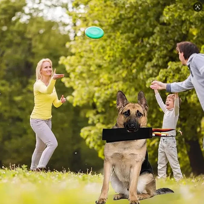 Dog Bite Force Development Prey Drive Activity Daily Fun Engagement Interactive Toy for Canine