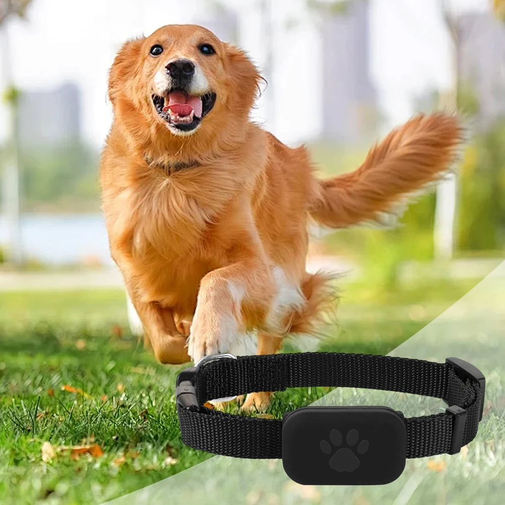 Pet Bluetooth GPS Tracker Adjustable Collar Dog Cats Locator Waterproof Anti Lost Dogs Real-time Tracking Device for iOS/Android