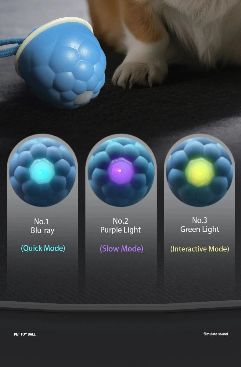 Intelligent rolling interactive dog toy ball Automatically moves and can emit barking sounds Puppy Chew Toys Knot Rope