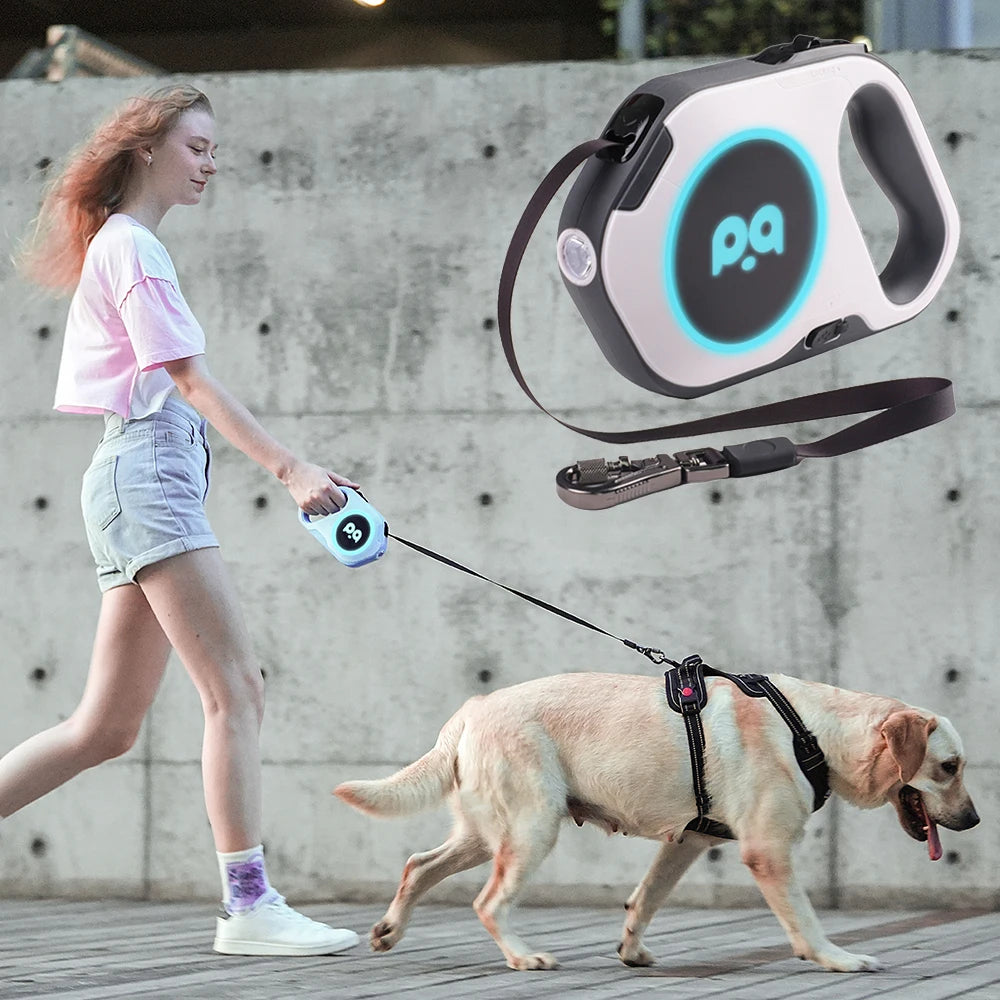 5M Automatic Retractable Big Dog Leash for Medium Large Dogs LED Lighting Durable Pet Walking Nylon Lead Rope mascotas Leashes