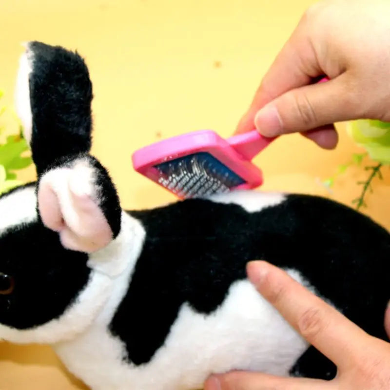 All-in One Pet Grooming Tool -Soft Bristle & Needle Combination Brush, Ideal for Rabbit,Dutch Pig, Guinea Pig  Small Animal Care