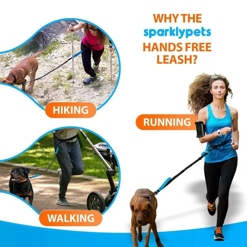 Retractable Hands Free Dog Leash For Running Double Handles Elastic Cord Reflective Large Dog Leash Pet Supplies