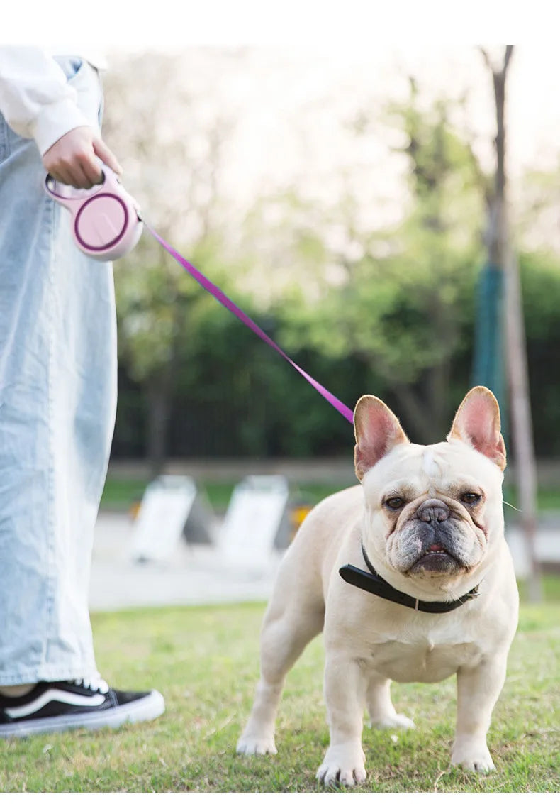 Automatic Retractable Dog Leash Heavy Duty Pet Traction Rope for Small Medium Large Dogs Golden Retriever Walking Lead