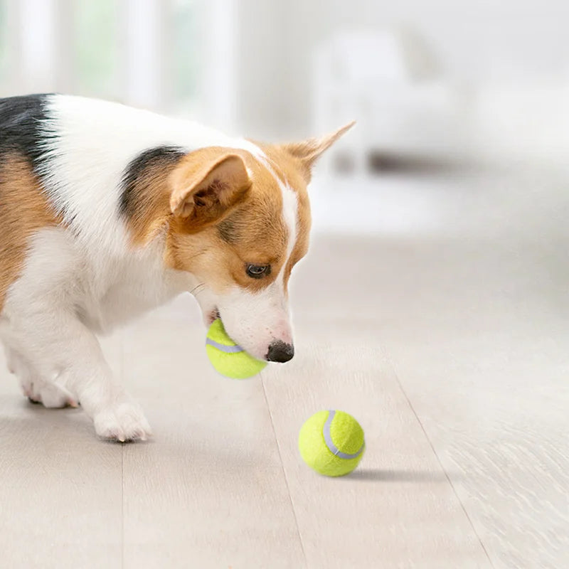 Interactive Dog Rubber Tennis Chew Toy - High Elasticity, Battery-Free, Striped Pattern, for Small Dogs & Outdoor Play Fun