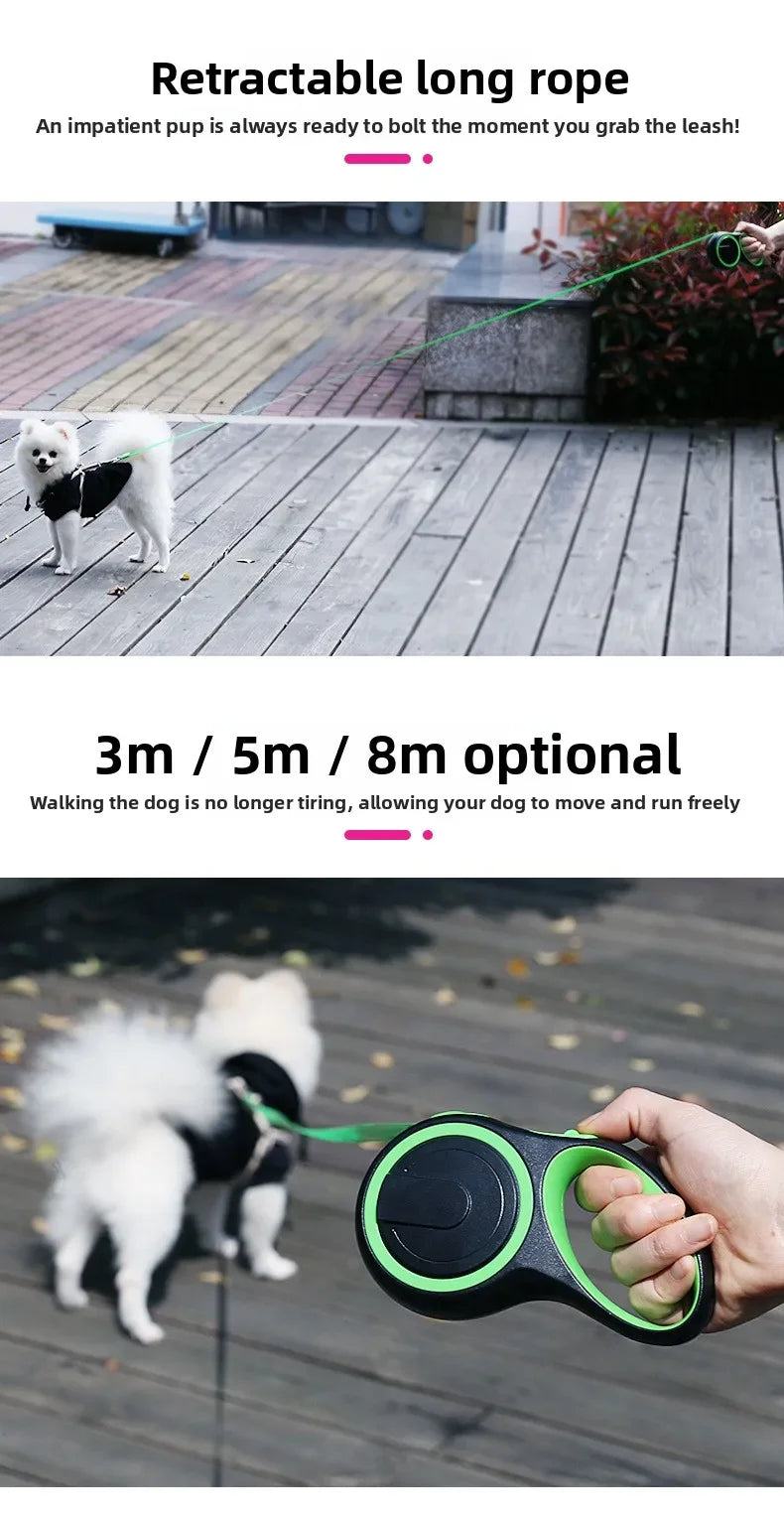 5M Retractable Nylon Leash for Small Dogs and Cats Durable Automatic Tension Control for Outdoor Walking Hiking Travel