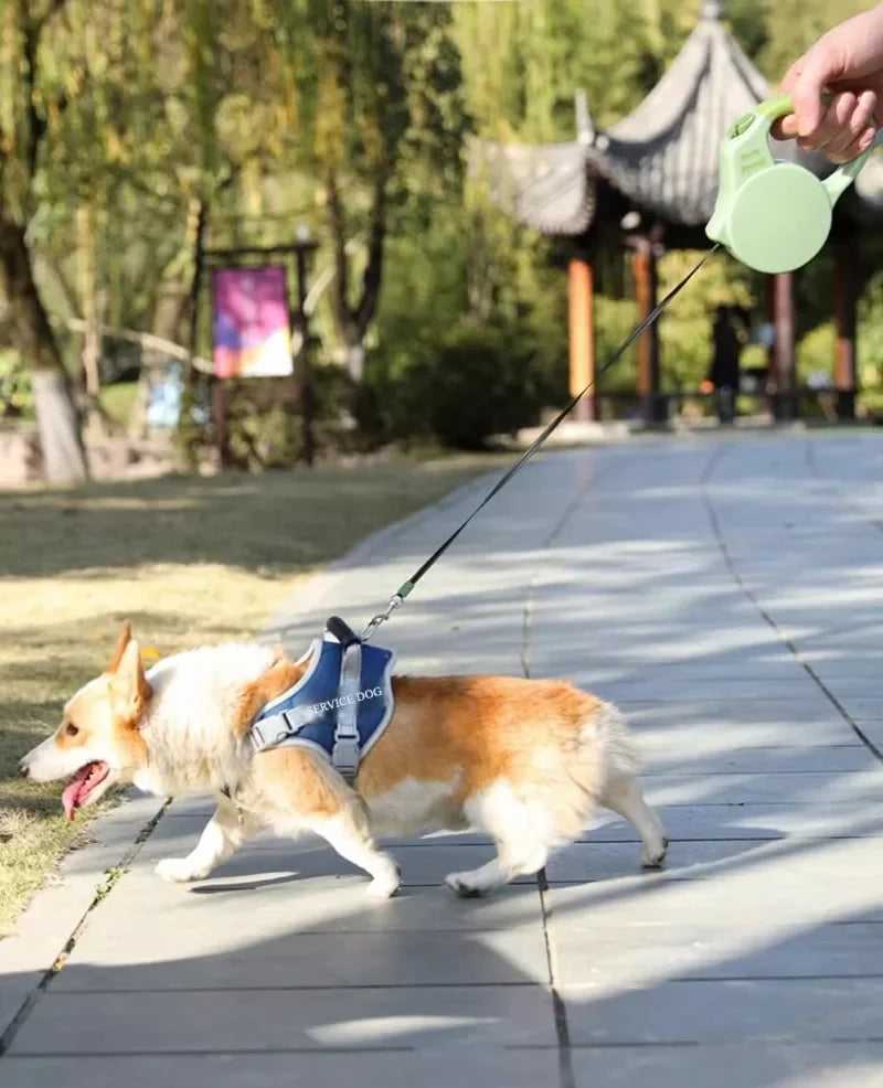 Retractable Dog Leash for Small Medium Dogs Cats 3/5M Automatic Expandable Pet Leash Durable Anti-Breaking Lead for Walking