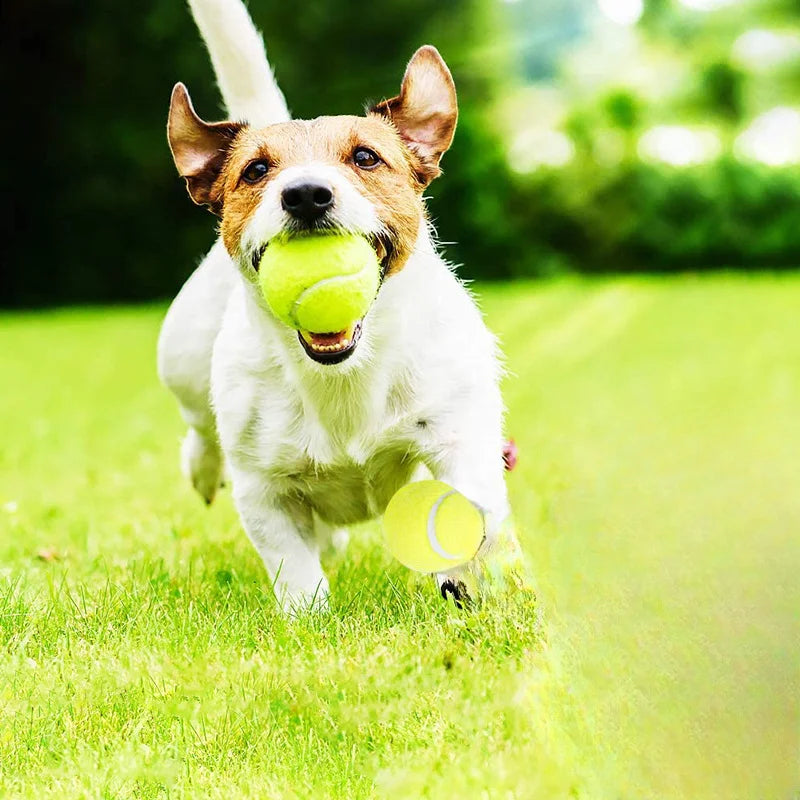 Interactive Dog Rubber Tennis Chew Toy - High Elasticity, Battery-Free, Striped Pattern, for Small Dogs & Outdoor Play Fun