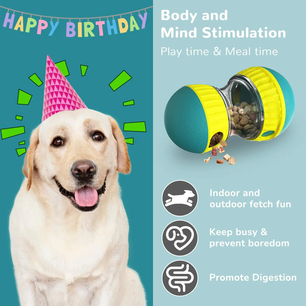 Dog Toy Improve IQ Interactive Puppy Toys For Small Medium Dogs Cat Slow Feeder Ball Labrador Golden Retriever Pet Supplies