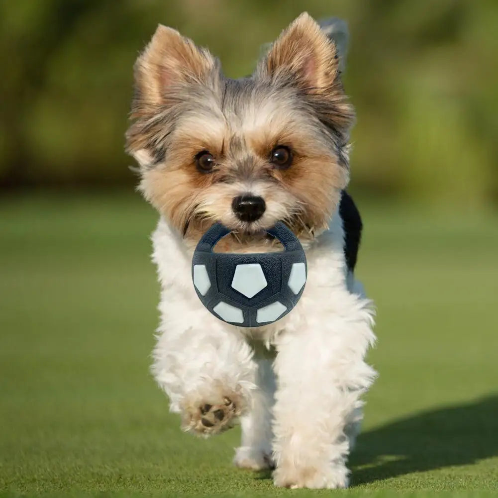 Dog Calming Ball Interactive Football Dog Toy Pets Toss And Fetch Toy with Squeaker Treat Dispensing for Small Medium Large Dogs