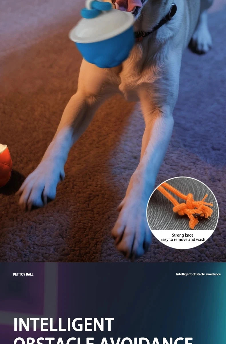 Intelligent rolling interactive dog toy ball Automatically moves and can emit barking sounds Puppy Chew Toys Knot Rope
