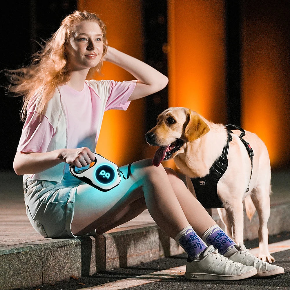 5M Automatic Retractable Big Dog Leash for Medium Large Dogs LED Lighting Durable Pet Walking Nylon Lead Rope mascotas Leashes