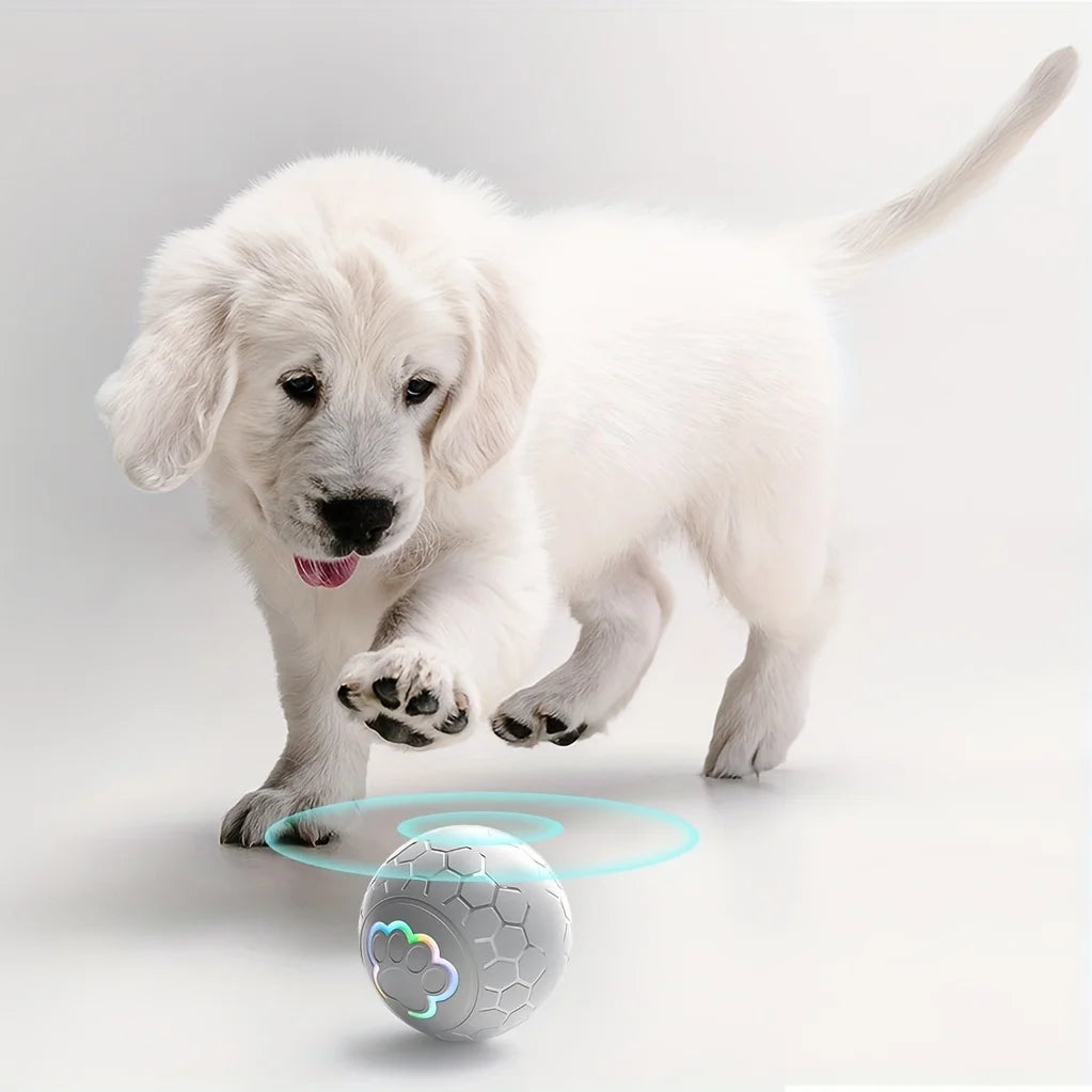 Interactive Jumping Dog Toy Ball with Smart Rechargeable Function for Pets