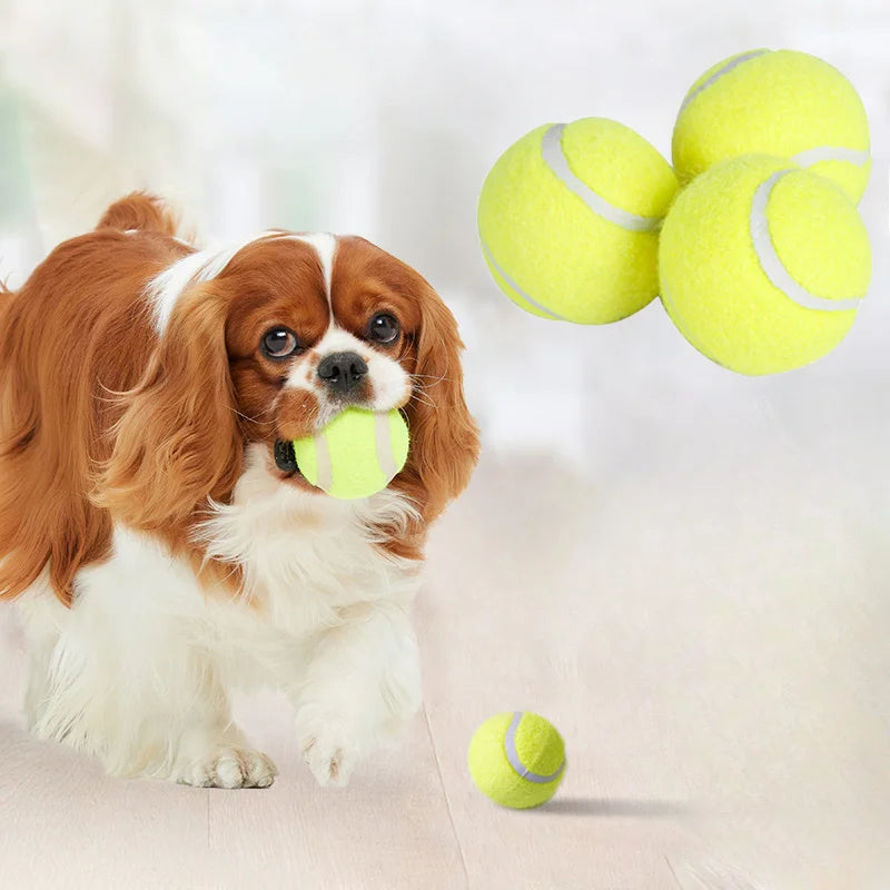 Interactive Dog Rubber Tennis Chew Toy - High Elasticity, Battery-Free, Striped Pattern, for Small Dogs & Outdoor Play Fun